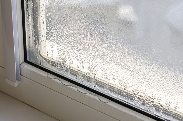 Leaky Window Repair in Estero