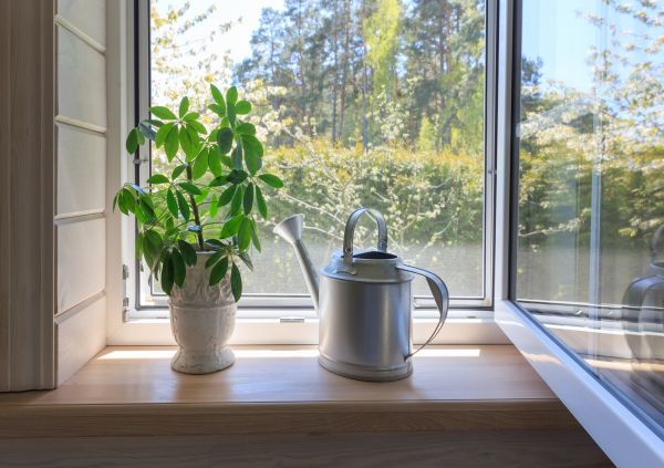 Garden Window Repair in Estero